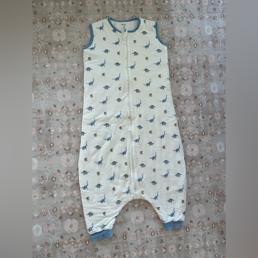 Kyte BABY walker sleep sack with Dinos